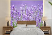 Behang - Fotobehang Close up van paarse wilde lavendels - Breedte 300 cm x hoogte 300 cm