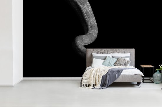 Behang - Fotobehang Dieren - Slang - Zwart - Wit - Portret - Breedte 465 cm x hoogte 260 cm