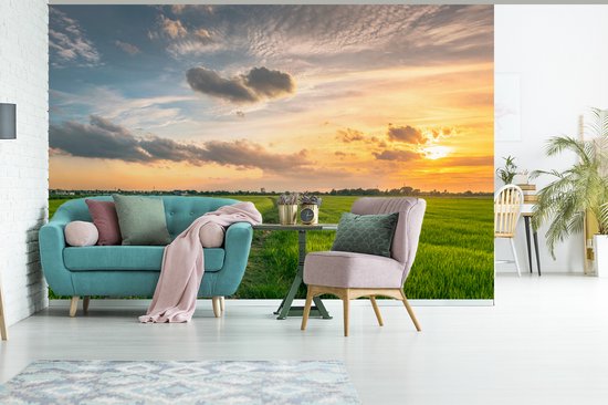 Papier peint Papier peint photo en vinyle - Prairie en Thaïlande largeur 390 cm x hauteur 260 cm - Tirage photo sur papier peint (disponible en 7 tailles)