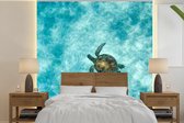Behang - Fotobehang Schildpad in de zee - Breedte 240 cm x hoogte 240 cm