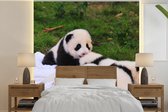 Behang - Fotobehang Panda's - Gras - Deken - Breedte 260 cm x hoogte 260 cm