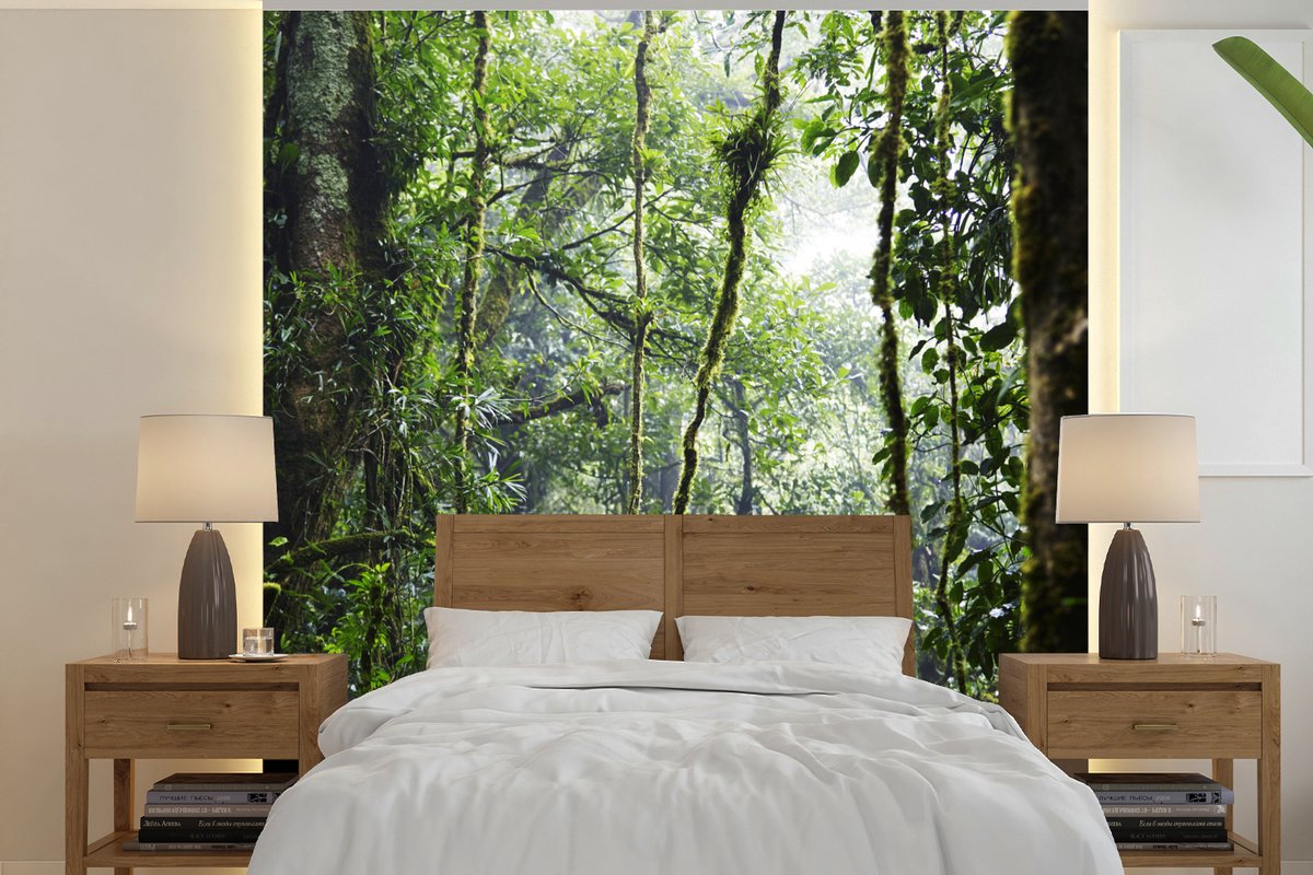 Behang - Fotobehang Tropisch regenwoud - Breedte 260 cm x hoogte 260 cm