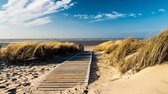 Fotobehang - Vlies Behang - Strandpad door de Duinen - Zee - Strand - 368 x 254 cm