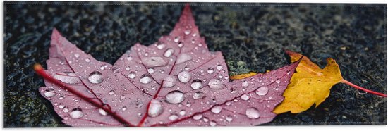 WallClassics - Drapeau - Grandes gouttes de pluie sur feuille rouge - Photo 60x20 cm sur drapeau en polyester