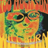 V/A - Too Much Sun Will Burn: British Psychedelic Sounds Of 1967 Vol.2 (CD)