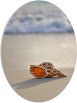PVC Schuimplaat Ovaal - Schelp op het Strand - 42x56 cm Foto op Ovaal (Met Ophangsysteem)