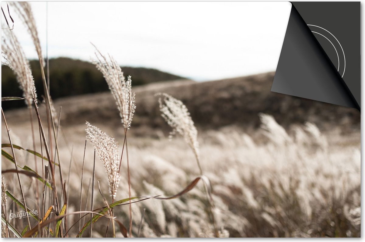 Inductie beschermer 90x52 - afdekplaat inductie mat - Dietrix Kookplaat beschermer - Exclusief - Herfst - Herfst riet