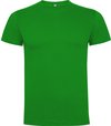 Gras groen 2 pack t-shirts Roly Dogo maat 4 98 – 104