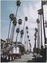 WallClassics - Poster Glossy - High Palmiers on the Street - 30x40 cm Photo sur Papier Poster avec Finition Brillante
