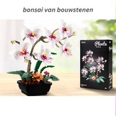 Orchidee Bloem Blokken - Compatibel 10311 - Vetplanten Bonsai Boeket - Bricks Speelgoed Voor Meisjes Volwassenen En Kinderen