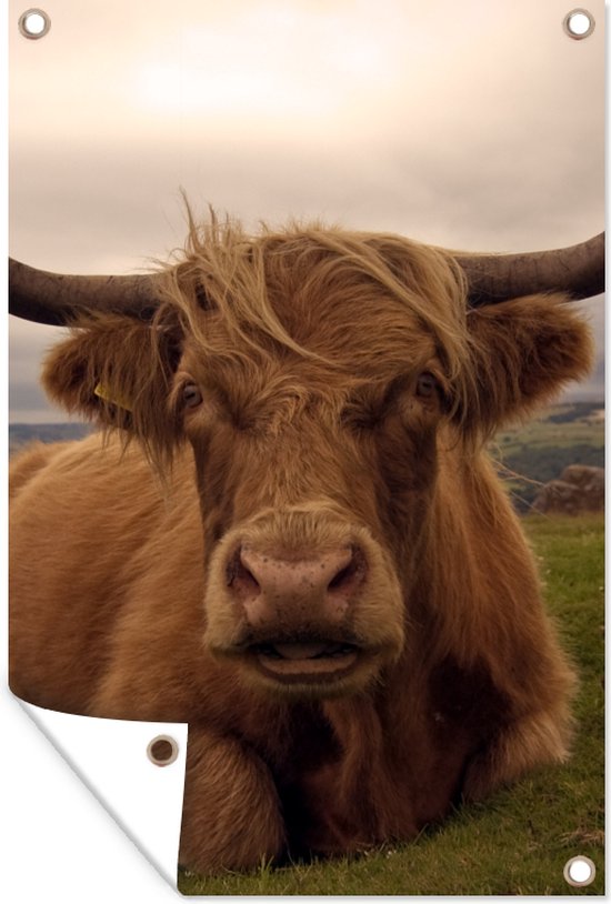 Affiche de jardin - Toile de jardin - Posters de jardin extérieures - Highlander écossais - Animaux - Berg - 80x120 cm - Jardin