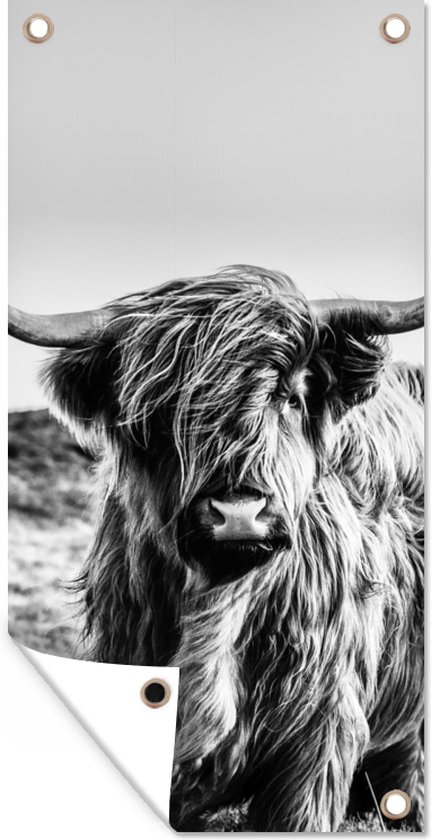 Impression sur toile - Image sur toile - Portrait d'une vache