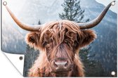 Muurdecoratie Schotse hooglander - Bergen - Portret - 180x120 cm - Tuinposter - Tuindoek - Buitenposter
