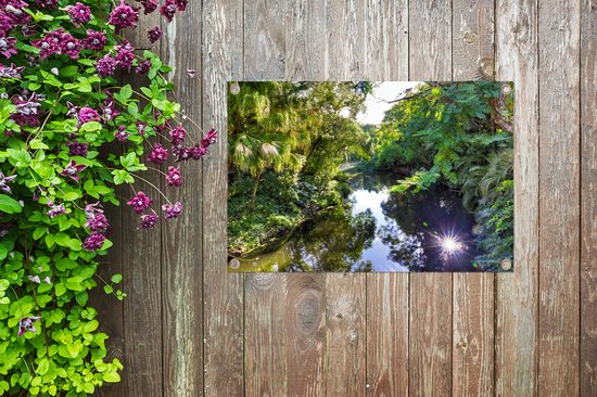 Une rivière dans le parc national nord-américain Everglades Garden poster 60x40 cm - petit - Toile de jardin / Toile d'extérieur / Peintures pour l'extérieur (décoration de jardin)