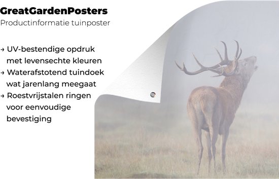 Tuinposter 200x100 cm - Tuindecoratie Hert - Gras - Mist - Poster voor in de tuin - Buiten decoratie - Schutting tuinschilderij - Tuindoek muurdecoratie - Wanddecoratie balkondoek