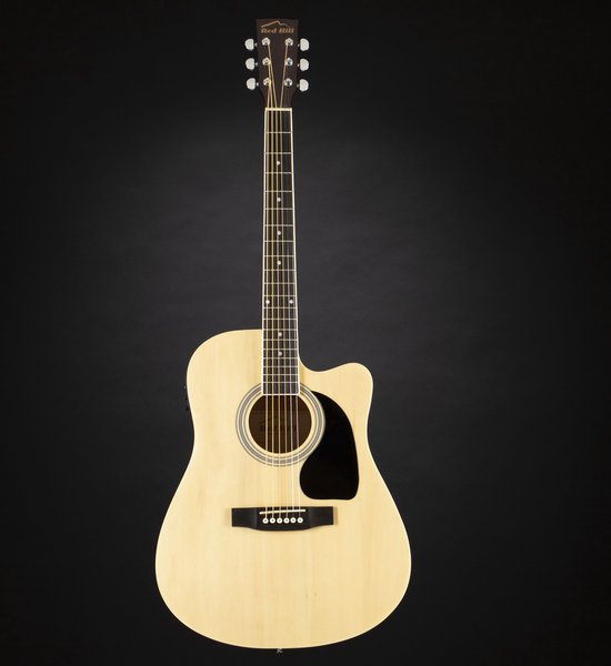 Seagull Entourage Grand Natural Akoestische Gitaar, Almond