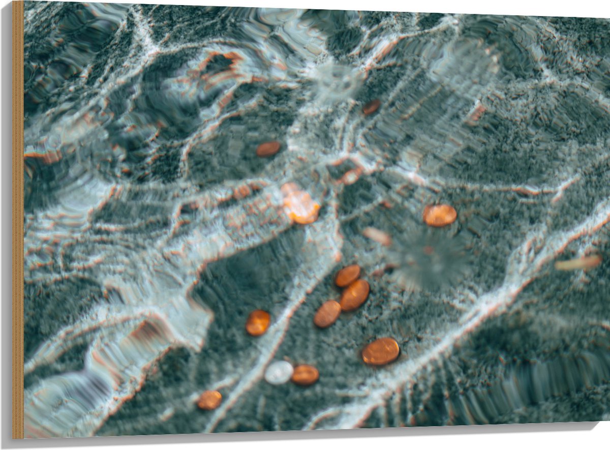 Hout - Kleingeld op Bodem van Fontein - 100x75 cm - 9 mm dik - Foto op Hout (Met Ophangsys