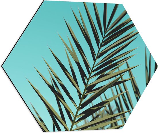Dibond Hexagon - Bladeren van Tropische Plant - 60x52.2 cm Foto op Hexagon (Met Ophangsysteem)
