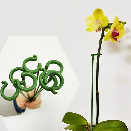 Jubaopen 8pcs Enkele steunpil, Tuinplant Stengel Steunring Metaal Enkele bloem Steunpaal Enkele stengel Plantkooi Steun voor planten Bloemen Tomaten (40CM Jubaopen 8pcs Enkele steunpil, Tuinplant Stengel Steunring Metaal Enkele bloem Steunpaal Enkele stengel Plantkooi Steun voor planten Bloemen Tomaten (40CM