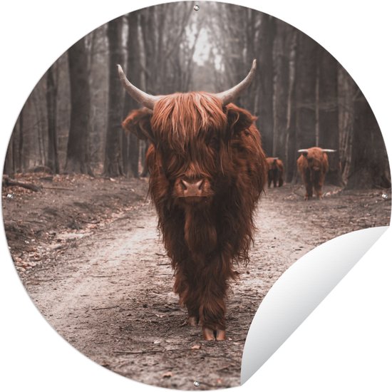 Tuincirkel Schotse hooglander - Bos - Koe - Dieren - Natuur - 150x150 cm - Ronde Tuinposter - Buiten
