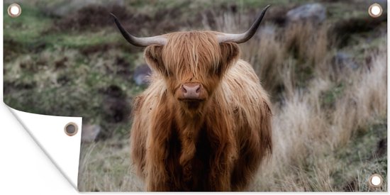 Décoration murale d'extérieur Scottish Highlander - Mousse - Herbe - 160x80 cm - Toile de jardin - Poster extérieur