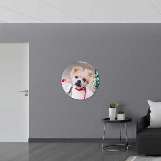 WallClassics - Muursticker Cirkel - Puppy met Rood Halsbandje Kijkend in Camera - 80x80 cm Foto op Muursticker