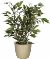 Groen/witte ficus kunstplant 40 cm met plantenpot parelgoud D13.5 en H12.5 cm