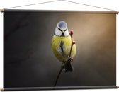 WallClassics - Affiche Textile - Mésange Bleue - 120x80 cm Photo sur Textile