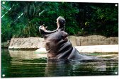 WallClassics - Tuinposter – Nijlpaard in Water met open Bek - 105x70 cm Foto op Tuinposter (wanddecoratie voor buiten en binnen)