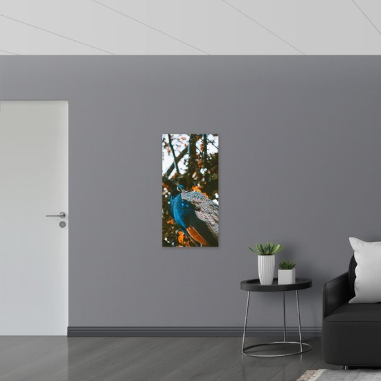 Dibond - Gekleurde Pauw Zittend op Tak - 50x100 cm Foto op Aluminium (Met Ophangsysteem)