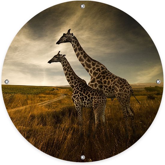 Ronde Tuinposter Twee Giraffes