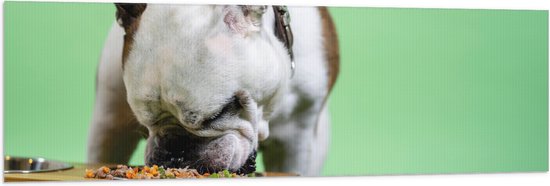 WallClassics - Vlag - Hondje aan het Eten voor Groene Achtergrond - Buldog - 150x50 cm Foto op Polyester Vlag