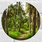 Muursticker Cirkel - Bospad in Bos van Hoge Palmbomen met Groen Gras - 20x20 cm Foto op Muursticker