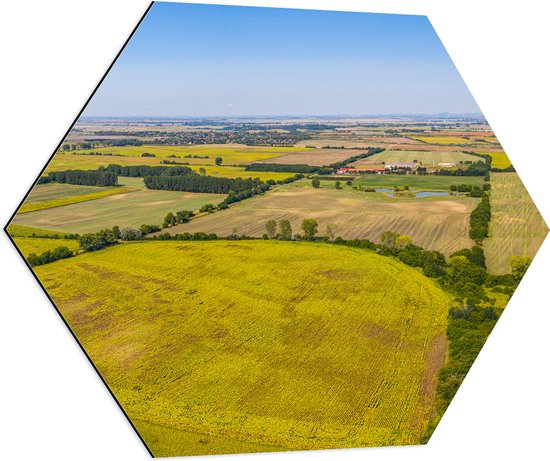 Dibond Hexagon - Bovenaanzicht Landschap met Gras en Planten - 70x60.9 cm Foto op Hexagon (Met Ophangsysteem)