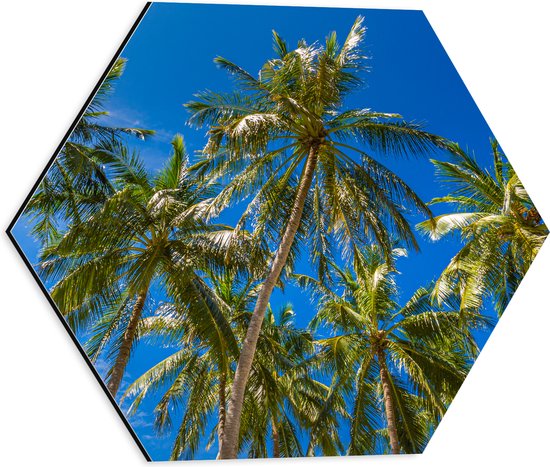 Dibond Hexagon - Palmbomen met een Helder Blauwe Lucht - 40x34.8 cm Foto op Hexagon (Met Ophangsysteem)