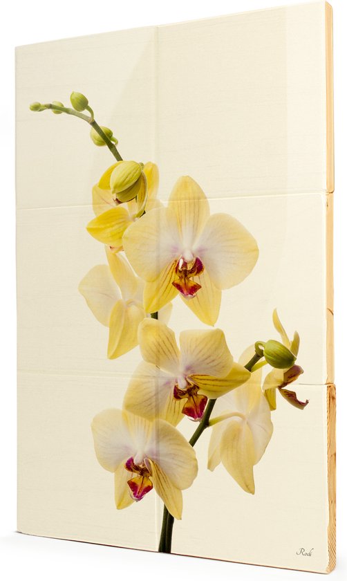 Orchidee - 2x3 Steigerhout Tegeltableau