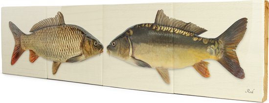 Double fish - 4x1 Steigerhout Tegeltableau