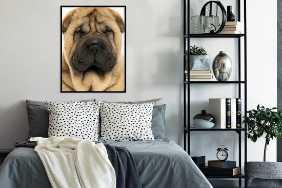 Poster sous cadre photo enfants - Chien - Garçons - Sharpei - Animaux domestiques - Filles - Enfants - Décoration murale filles - 60x80 cm - Décoration pour chambre d'enfant - Poster chambre