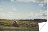 Zone naturelle avec papier pour affiche des Highlanders écossais
