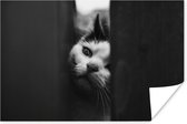 Poster Dierenprofiel spiekende kat in zwart-wit - 120x80 cm