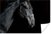 Poster Paard - Licht - Zwart - 60x40 cm