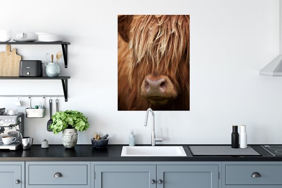 Scottish Highlander up close poster papier 60x80 cm - Tirage photo sur Poster (décoration murale salon / chambre) / Poster Animaux sauvages