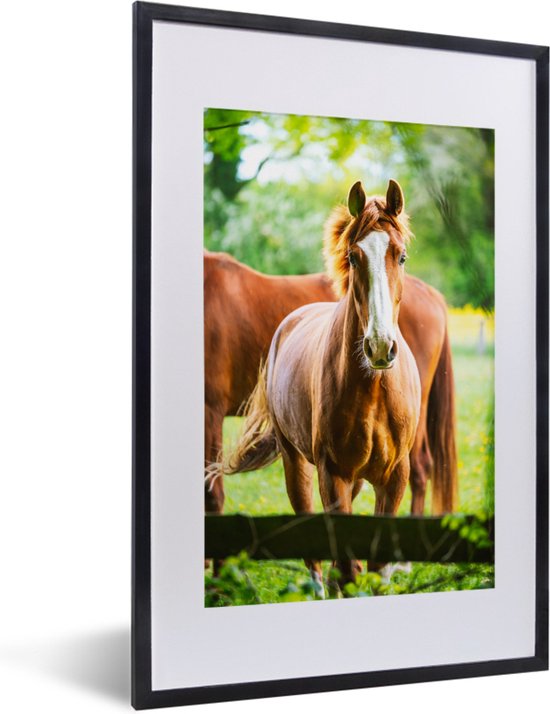 Fotolijst incl. Poster - Paarden - Licht - Weide - 40x60 cm - Posterlijst