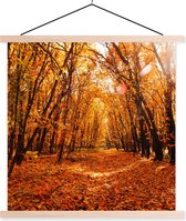 Porte-affiche avec affiche - Affiche scolaire - Automne - Forêt - Feuilles - Saisons - 120x120 cm - Lattes vierges