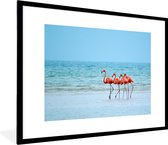 Fotolijst incl. Poster - Flamingo's aan de kust van Mexico - 80x60 cm - Posterlijst
