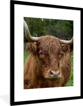 Fotolijst incl. Poster - Schotse Hooglander - Dieren - Gras - 60x80 cm - Posterlijst