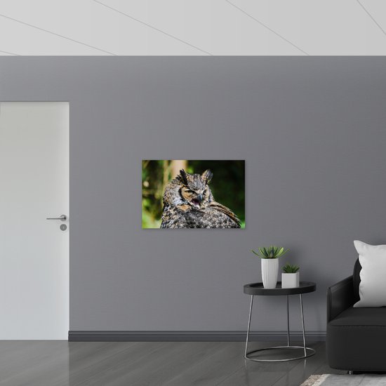 WallClassics - Drapeau - Hibou béant - Photo 90x60 cm sur drapeau polyester