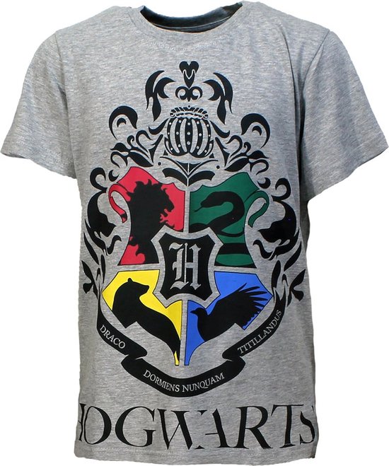 Harry Potter Hogwarts Kids T-Shirt Lichtgrijs