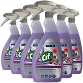 6x Cif Professional SafeGuard Desinfecterende Keuken Reiniger 2-in-1 Spray Pro Formula 750 ml