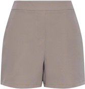 Pieces Pantalon Pcbozzy Hw Shorts Noos Bc 17146360 Argent Vison Taille Femme - XL
